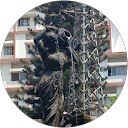 Obalaranga N profile picture